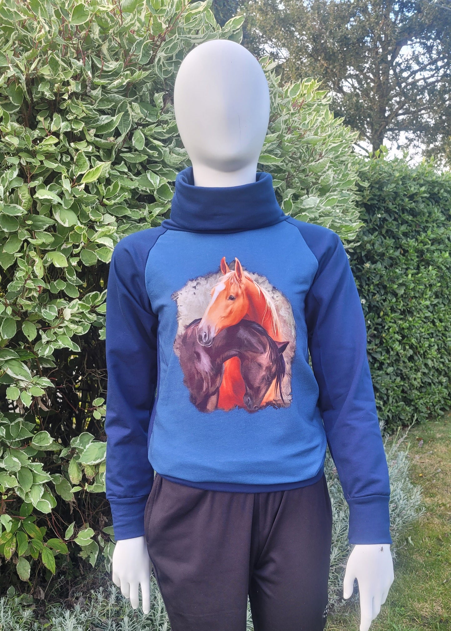 Sweater Paard